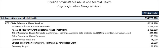 State Substance Abuse Services Detailed Purposes